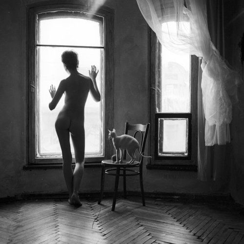 белый-белый зимний день