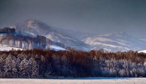 Декабрь простор.