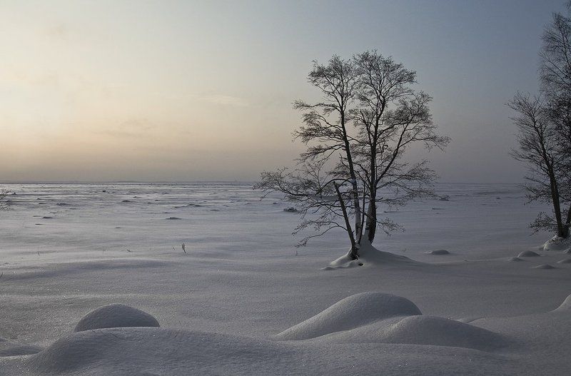 Безмолвиеphoto preview