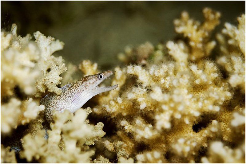 Берегите себя...photo preview