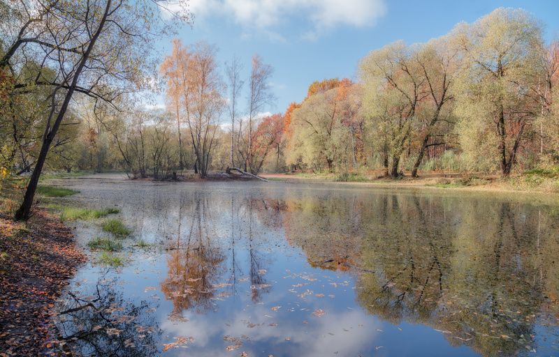 осень, пруд, краски Осенняя акварельphoto preview