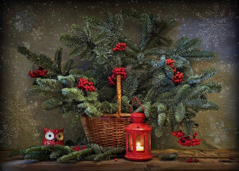 зима новый год елка праздник С Наступающим Новым годом!photo preview