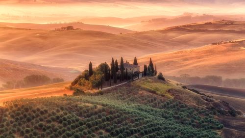 Belvedere