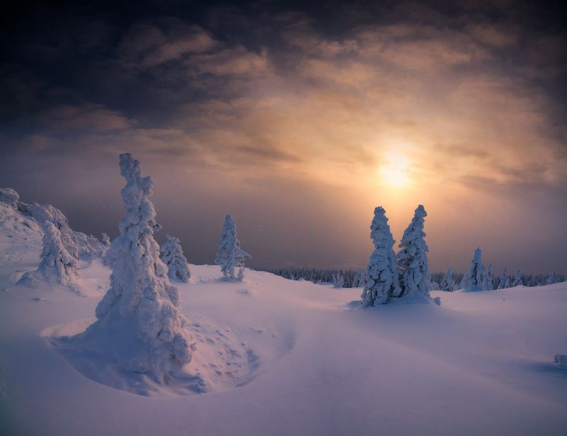 Краденое солнцеphoto preview