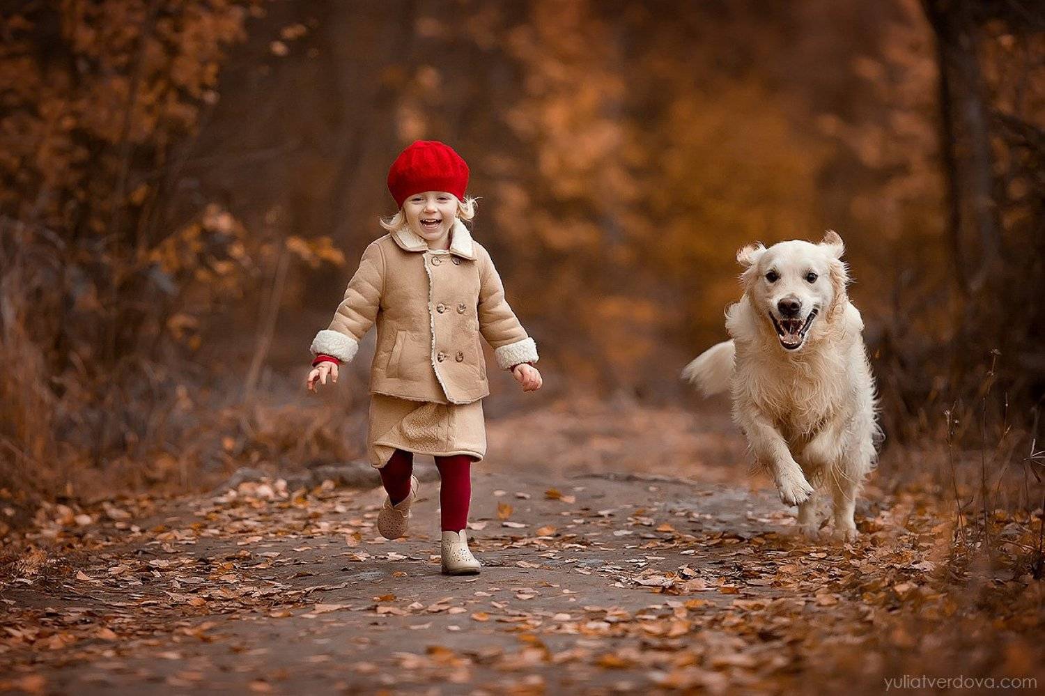 Лучшие друзья. Автор: Юлия Твердова девочка, собака, друг, осеньь, Юлия Твердова