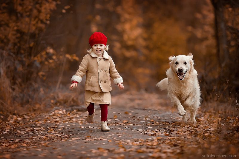 девочка, собака, друг, осеньь Лучшие друзьяphoto preview