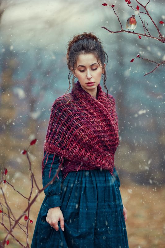 woman, winter, bird, snow Winter Birdsphoto preview