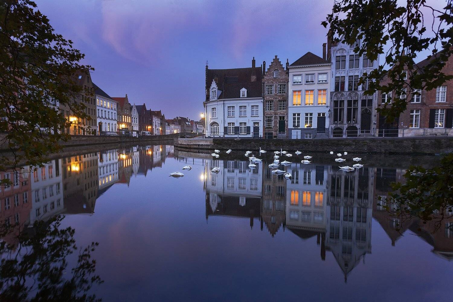 Предрассветный Брюгге. Автор: Андрей Родионов брюгге, отражение, лебеди, Андрей Родионов