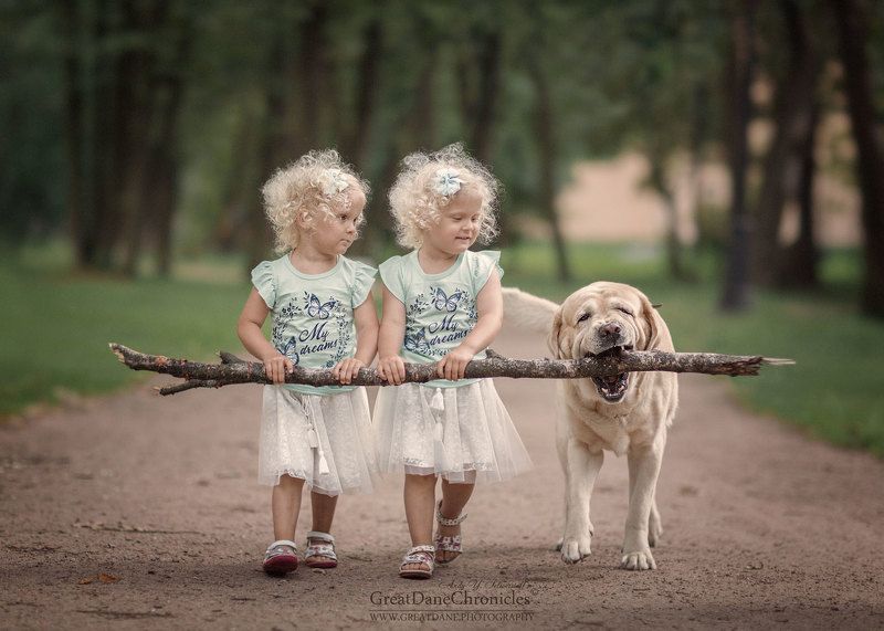 Анжелика, Вероника и их верный помощник Теддиphoto preview