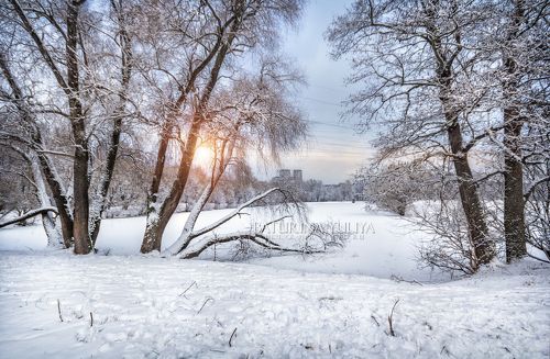 Зима в городском парке