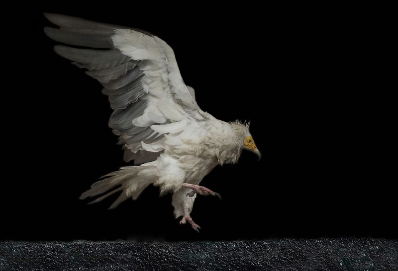 Late afternoonphoto preview