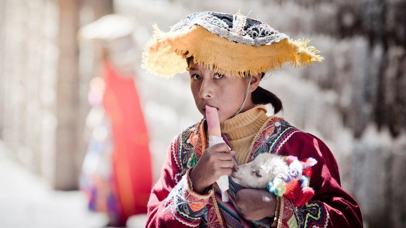 южная америка, латинская америка, боливия, эквадор, перу, лама, фламинго, мачу-пикчу, овцы, велосипед South Americaphoto preview