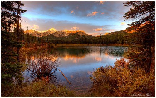 Window to the fall...