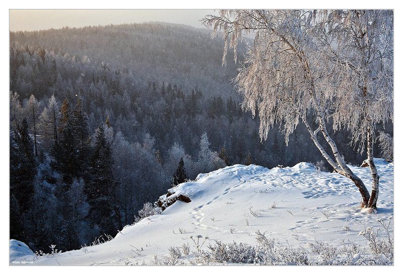 горы, южный урал, День морозный, снежный, звонкий!photo preview