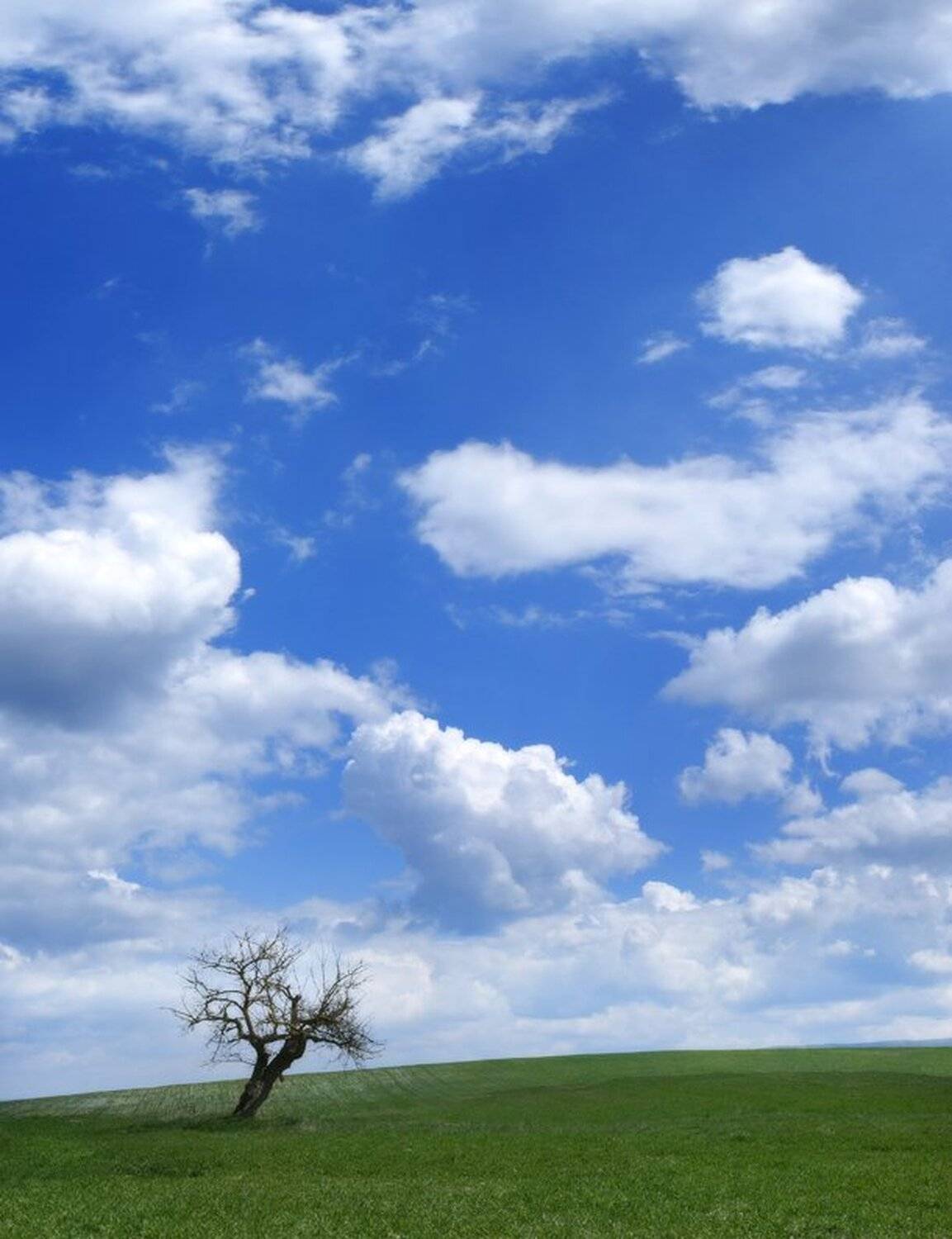 Автор: Яна Гайворонская , Яна Гайворонская