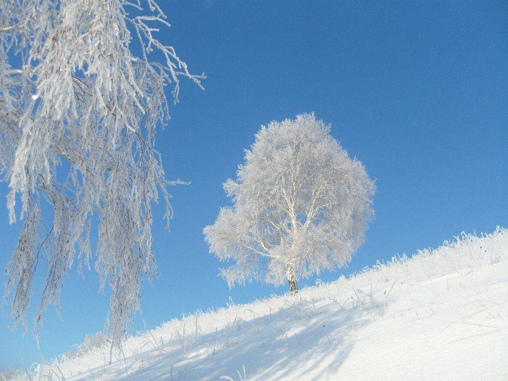 , Максим Филипов