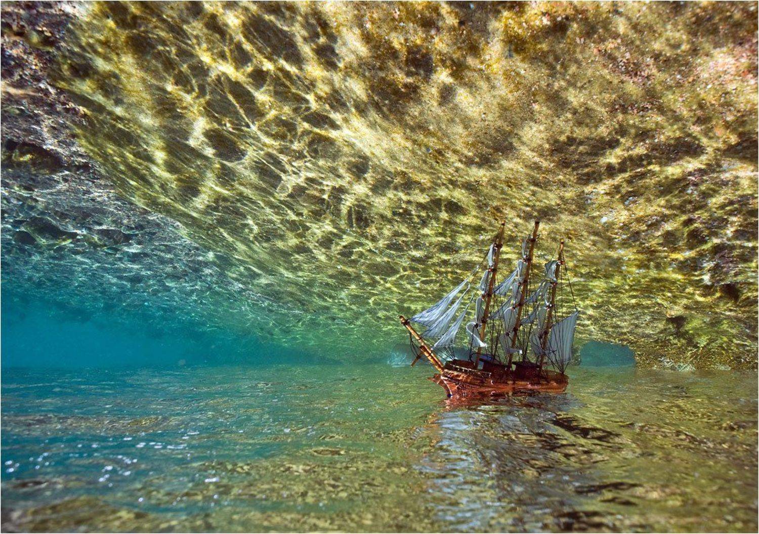 , Сергей Шанин