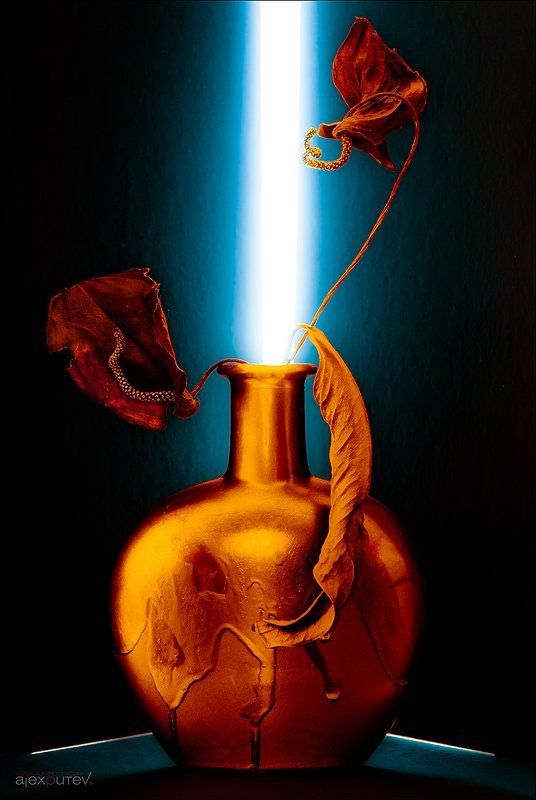 натюрморт Этюд для iren ...photo preview