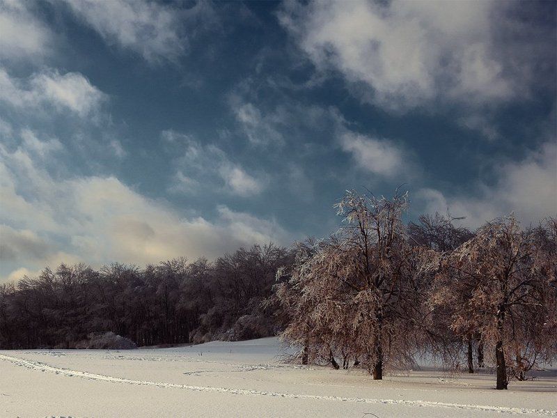 fotografkotoff, cmyk, граф, деревья, закат, зима, игорь, каналы, котов, лед, москва, небо, русский, снег, снежинки, холод, царицыно, цветокоррекция Русская зимаphoto preview