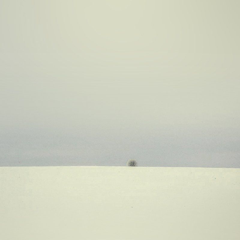 Жизнь деревьевphoto preview