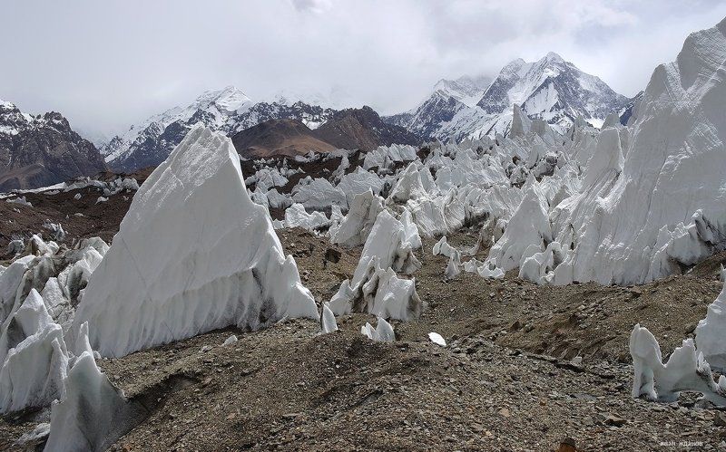 горы, каракорум, китай, ледник, гашербрум, туризм, альпинизм Весь покрыт кальгаспорами, абсолютно весь.photo preview