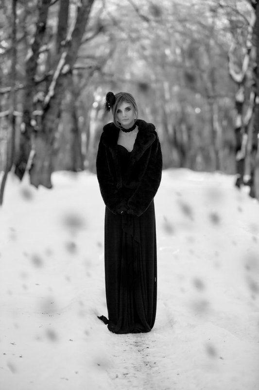 Lithiumphoto preview