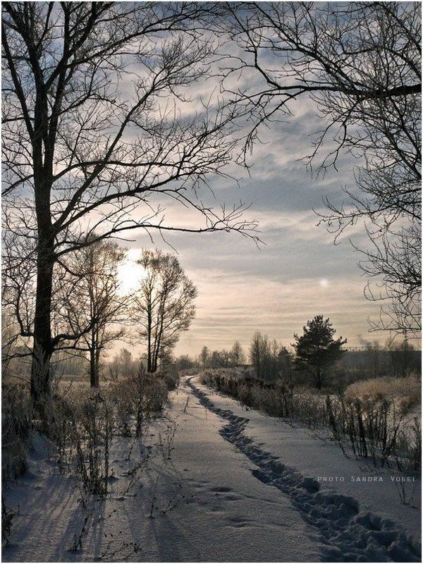 зима, снег, мороз, тверь К снежному закатуphoto preview