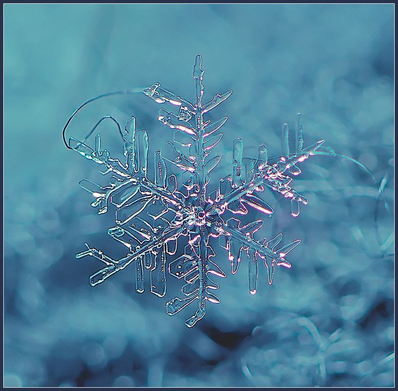 снежинка,макро, Снежинка.photo preview