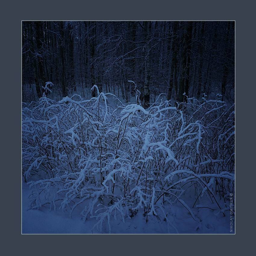 пейзаж, , музыка, николай дмитрук