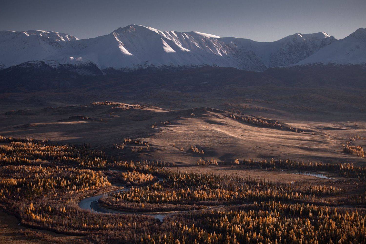 Курайский вечерок. Автор: Виктор Зайцев горный алтай, чуя, курай, северо-чуйский хребет, горы, лиственницы, осень, октябрь, Виктор Зайцев