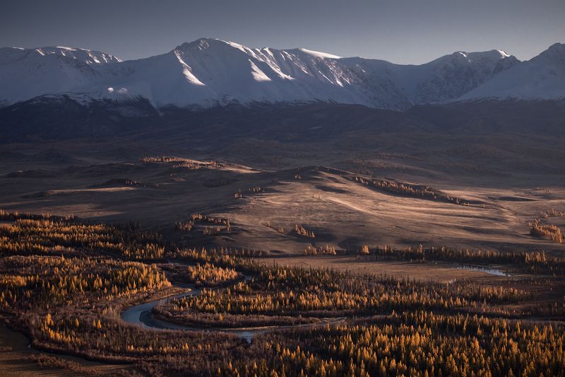горный алтай, чуя, курай, северо-чуйский хребет, горы, лиственницы, осень, октябрь Курайский вечерокphoto preview
