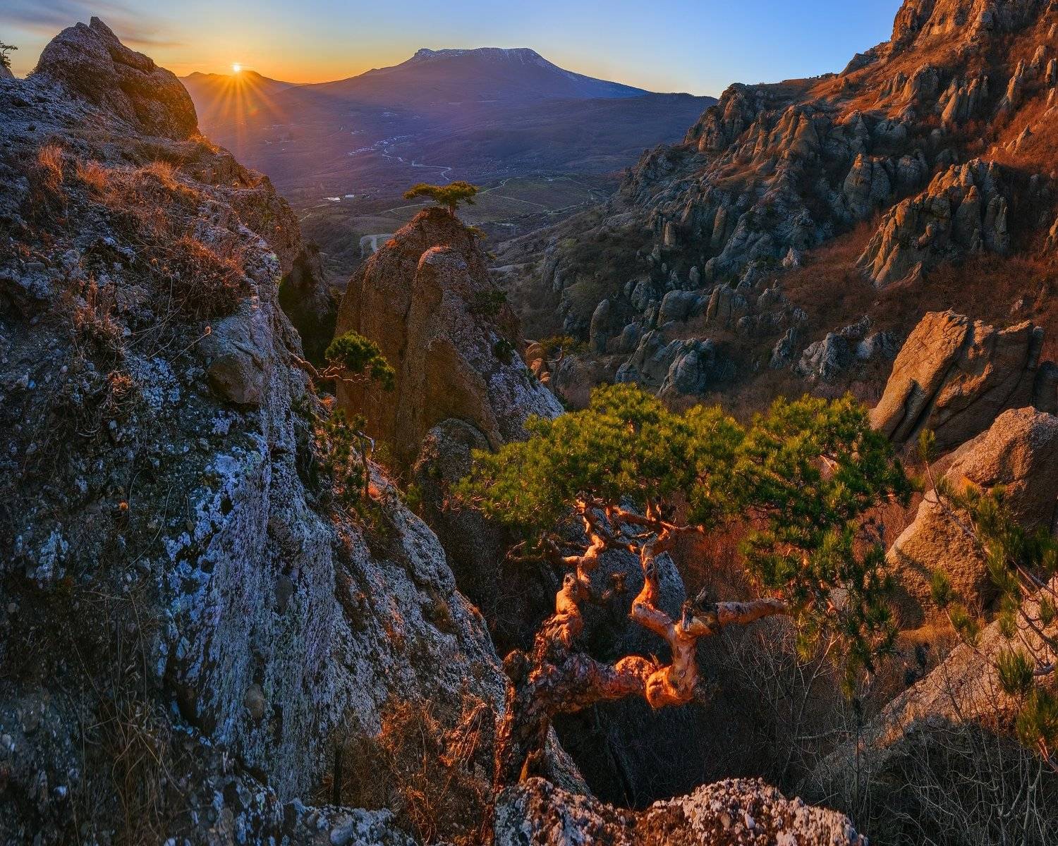 крым, долина приведений, демерджи, алушта, лучистое, сосна, Konstantin Voronov