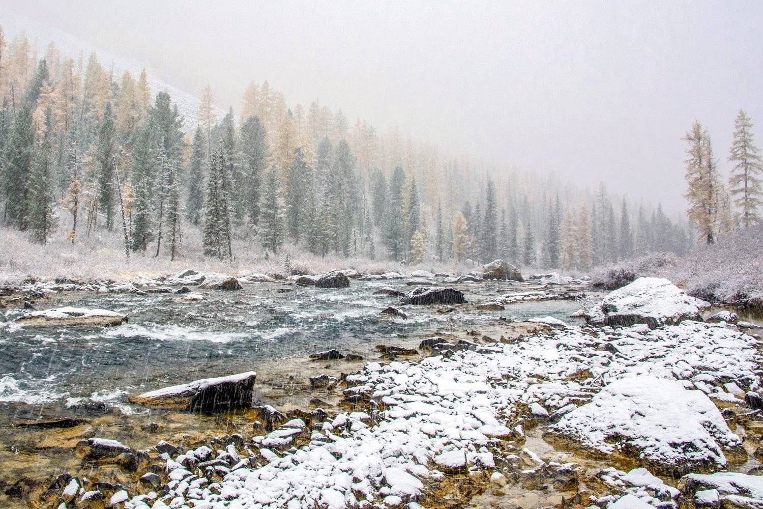 алтай,осень, Алексей Кретов