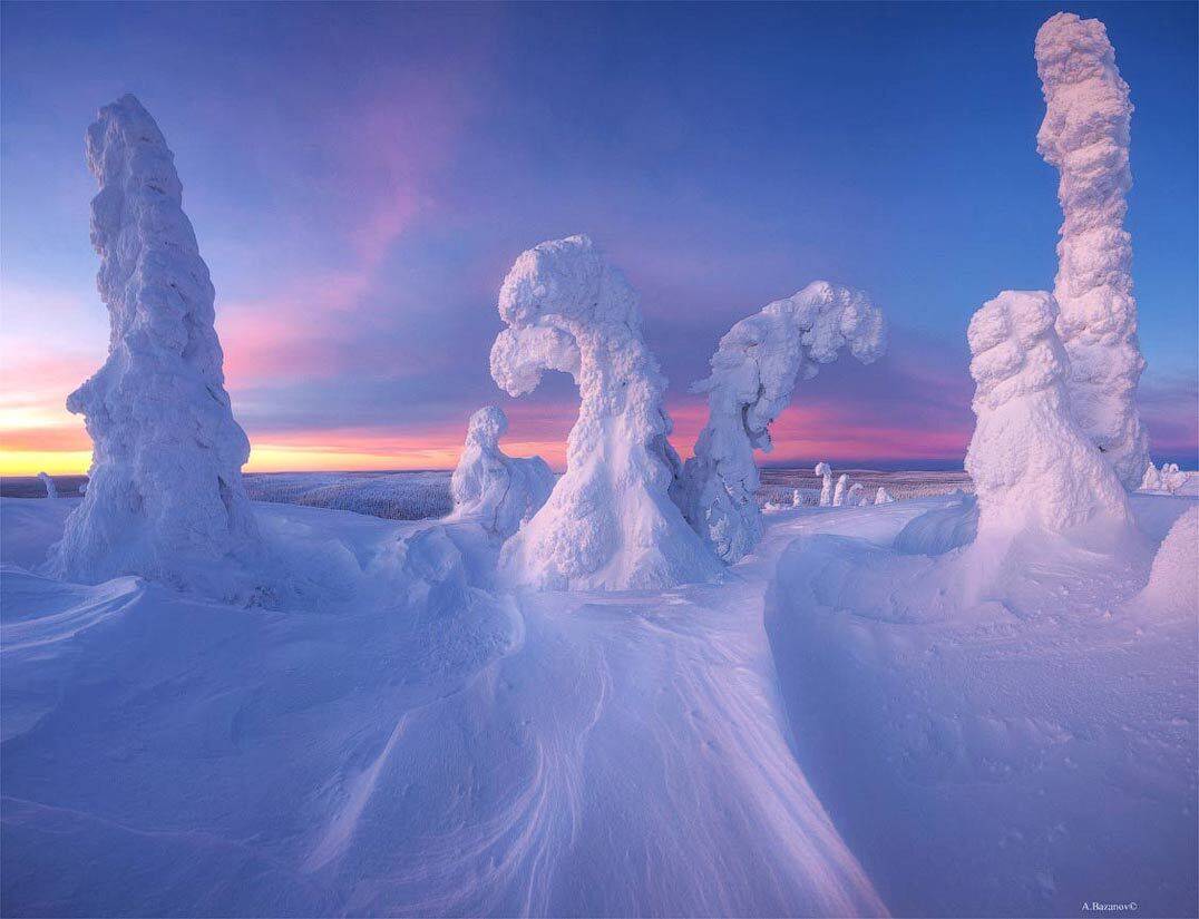 Музей снеговых фигур!. Автор: Андрей Базанов , Андрей Базанов