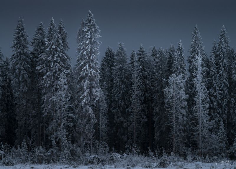 Пришельцы и Стражникиphoto preview