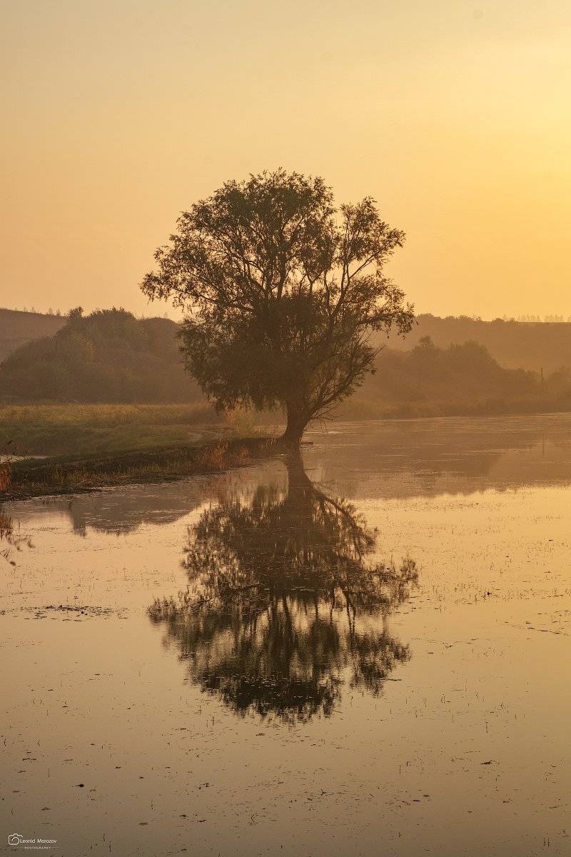 Автор: Леонид Морозов snow., , mountain, ., glacier.evergreen, ., snowfall., , ridge, ., snowy., , slope, ., mountain., , peak., , mountain., , range., , snowcapped., , mt, foraker., Леонид Морозов