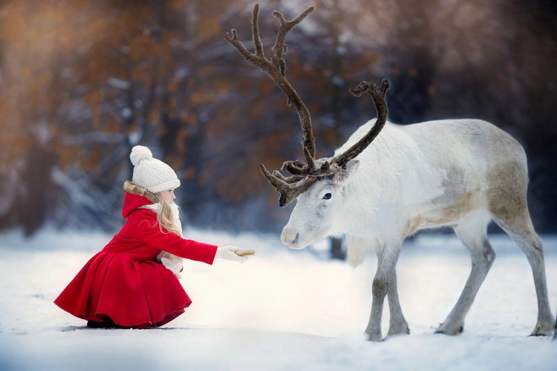 Герда, девочка, северный олень, зима, снег, сказка Угощение.photo preview