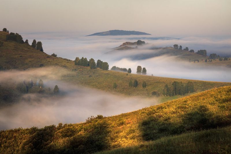 алтай, горы, природа, пейзаж, туман, утро, тигирек, заповедник Алтайский океанphoto preview