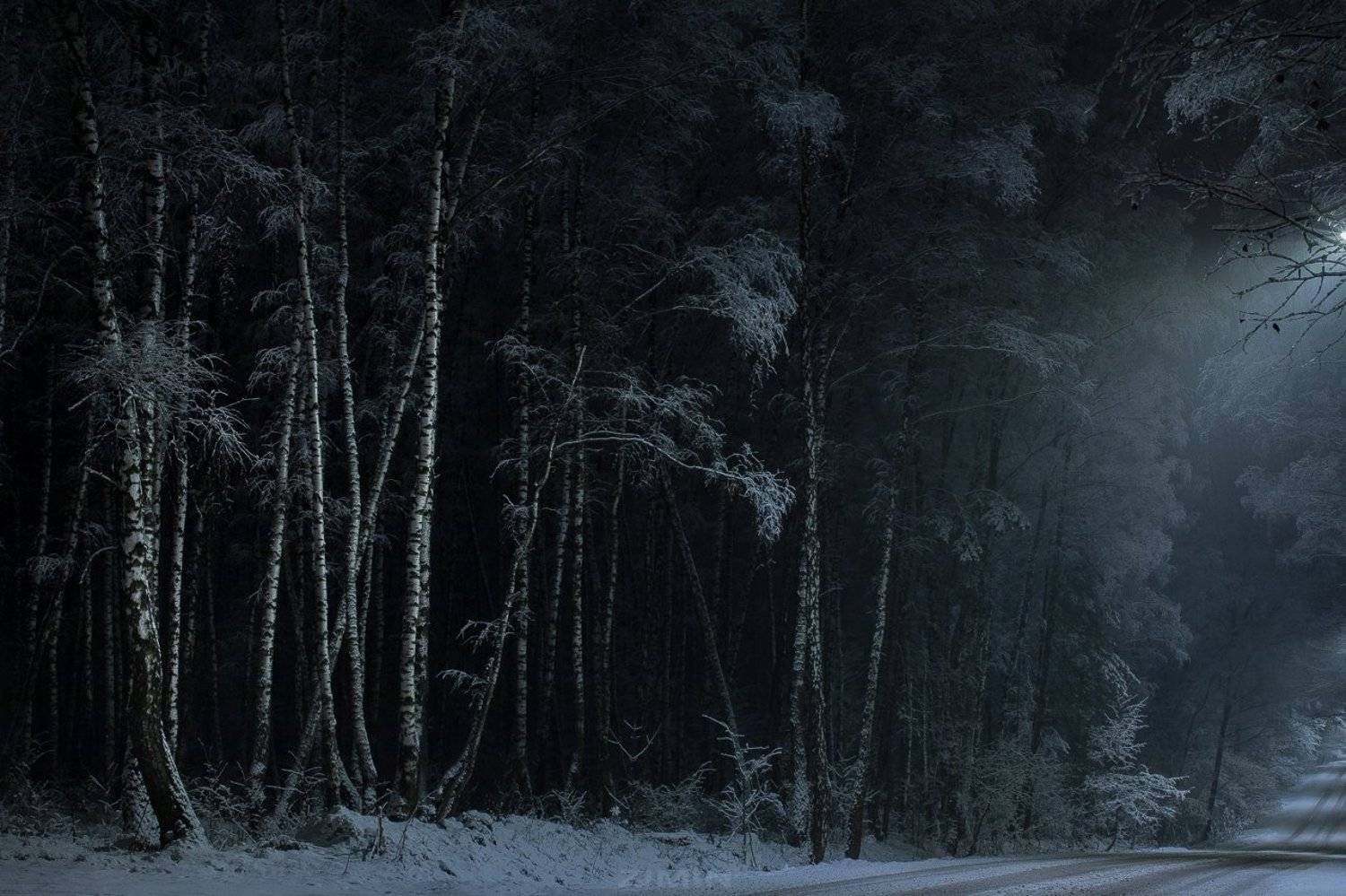 пейзаж, Сергей Зимин