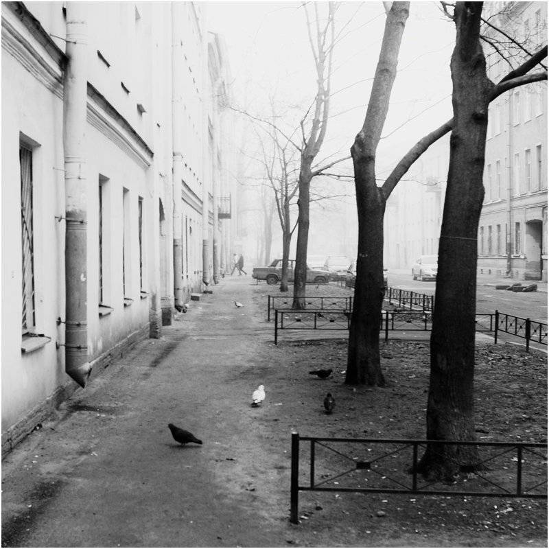 448. Автор: D.g , D.g