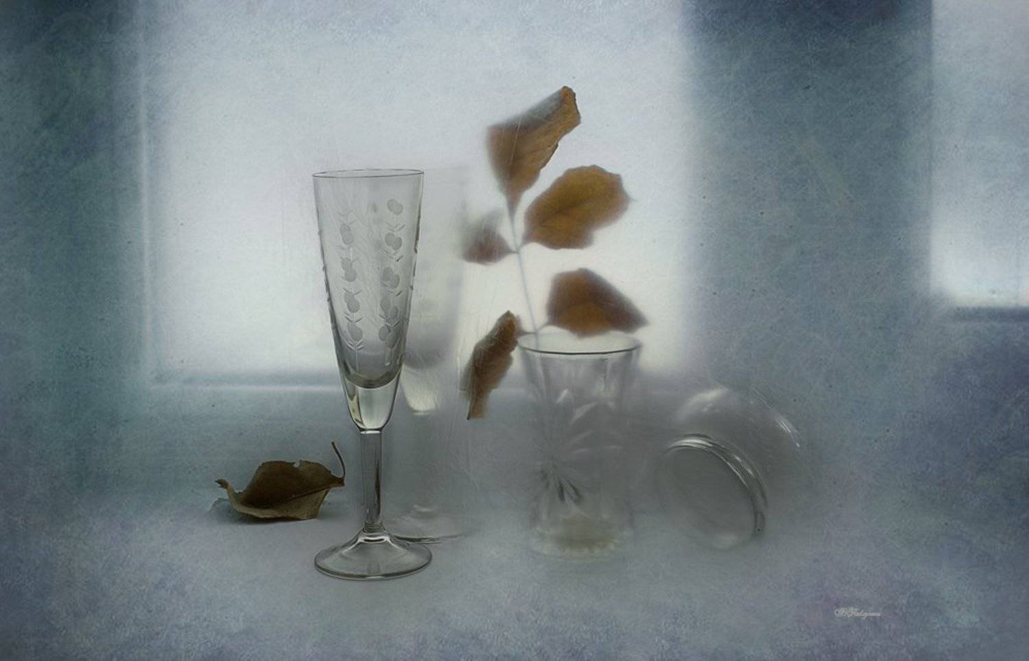 зима,окно,стекло,натюрморт,, Вера Павлухина