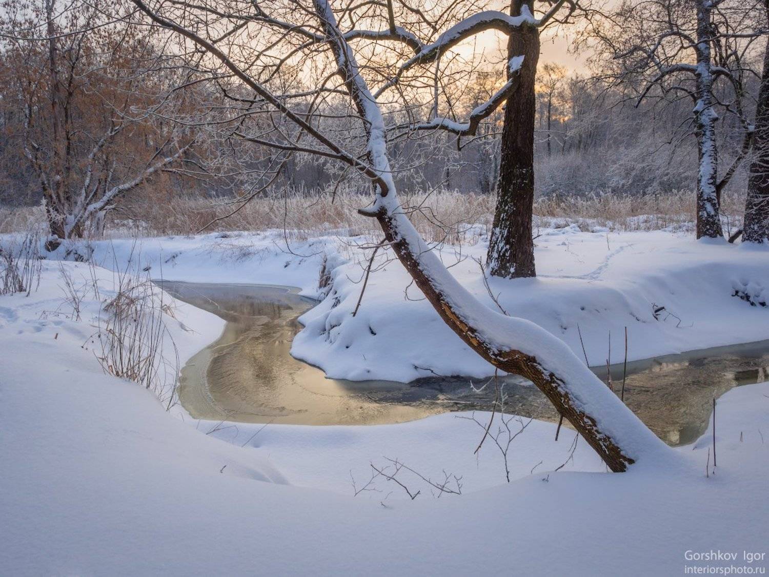 Морозное зимнее утро. Автор: Горшков Игорь зима,утро,мороз,пейзаж,река,измайловский,парк,москва,природа,лес,, Горшков Игорь