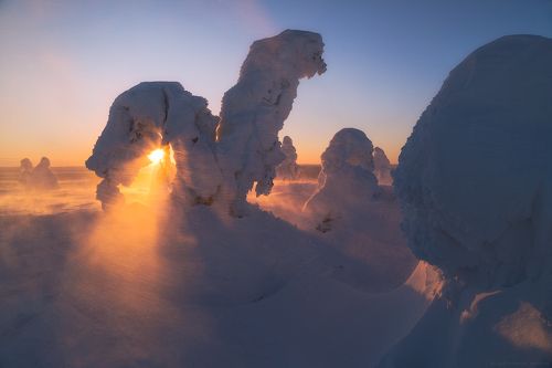Белое безмолвие