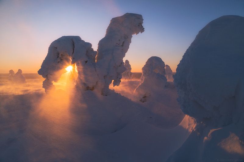 Лапландия, Финляндия, снег, ветер, холод, лед, солнце, луч, линии, сугробы, деревья, лес, путешествия, закат, восход, lights, snow, trees, forest, hills, mountains, lapland, explore, outdoore, sun, sunlight Белое безмолвиеphoto preview