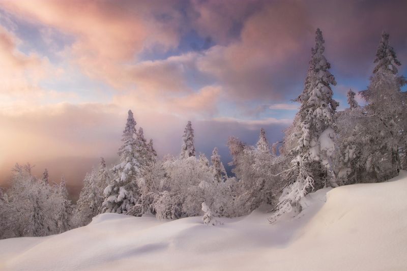 южный урал, уреньга Gentlephoto preview