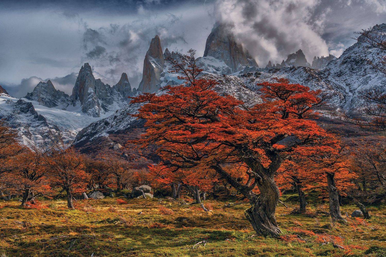 фототуры с владимиром рябковым, фиц рой, патагония., Владимир Рябков