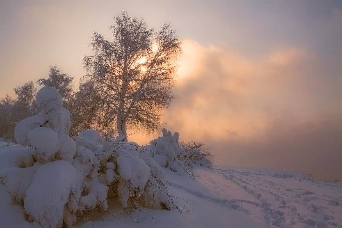 ***. Автор: Николай М , Николай М