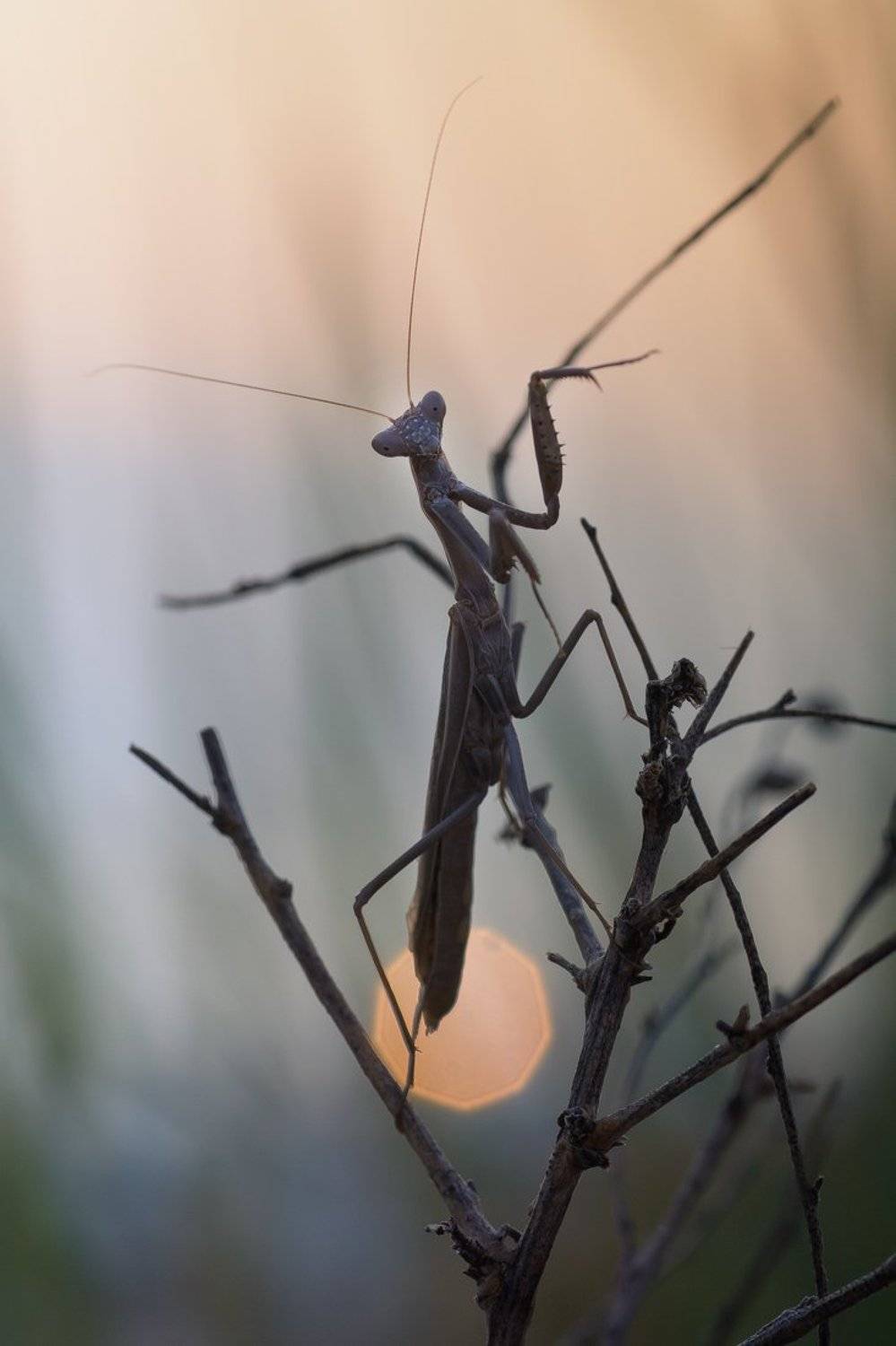, Кузнецов Дмитрий