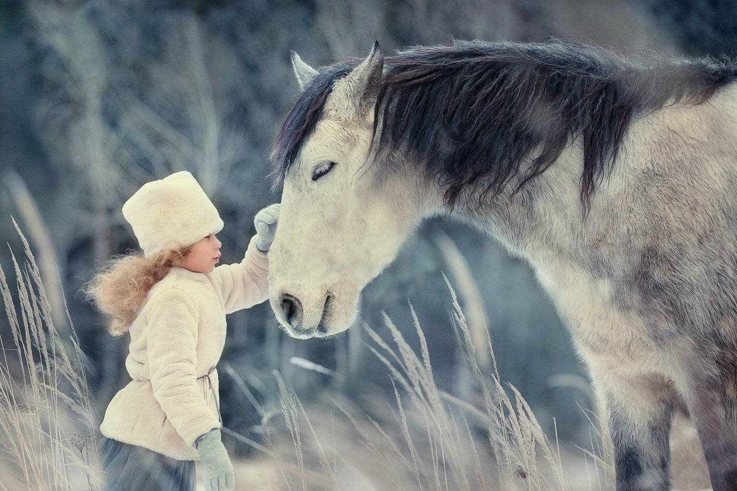 Автор: Ахтямова Рашида , Ахтямова Рашида