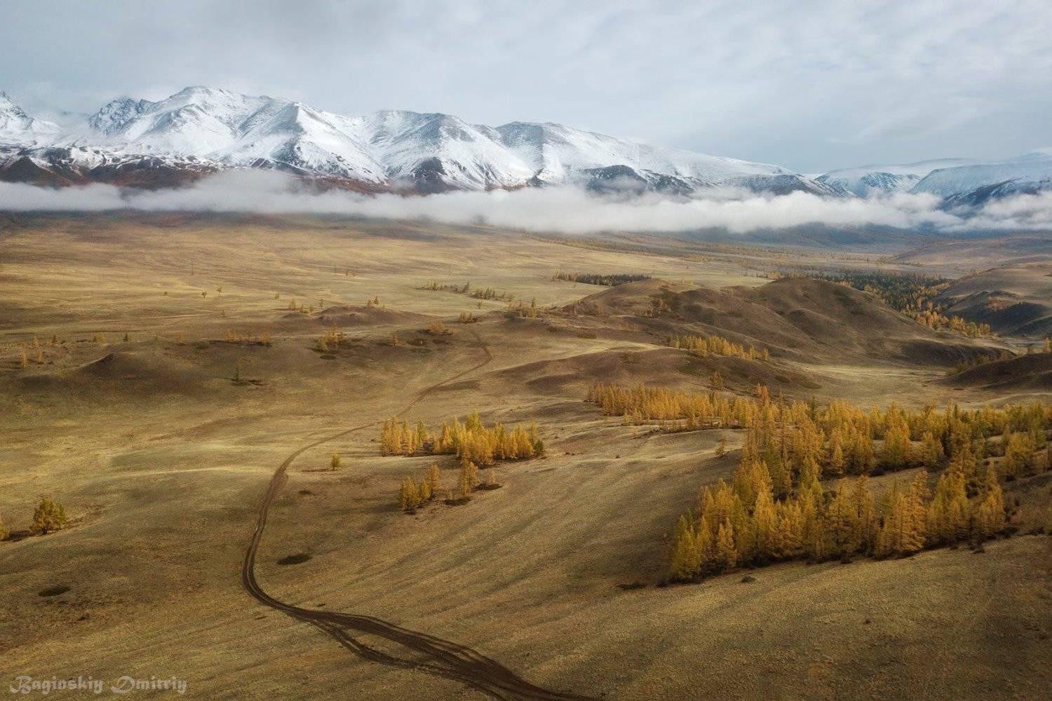 алтай, осень, горы, степь, Dmitriy  Baginskiy